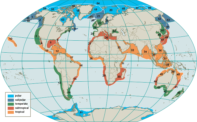 Area marked 48 is the Yellow Sea Large Marine Ecosystem